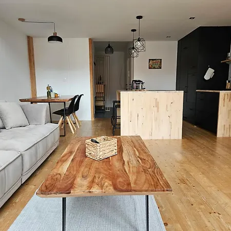 Spacious Modern Loft, 2 Bedrooms, 95m2, Free Parking Apartmán Bratislava